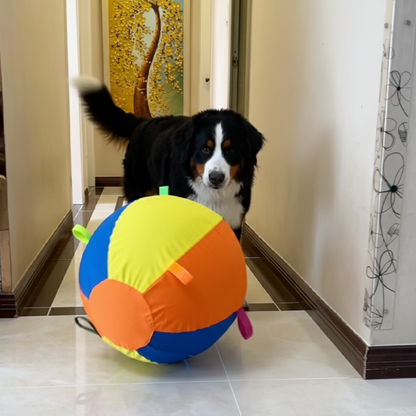 Pawora Viral Giant Ball